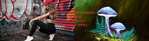 mdpv Костерёво