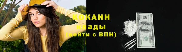 ПСИЛОЦИБИНОВЫЕ ГРИБЫ Коряжма