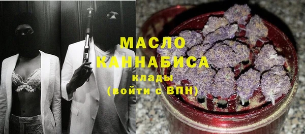 твердый Краснослободск