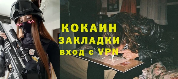 твердый Краснослободск