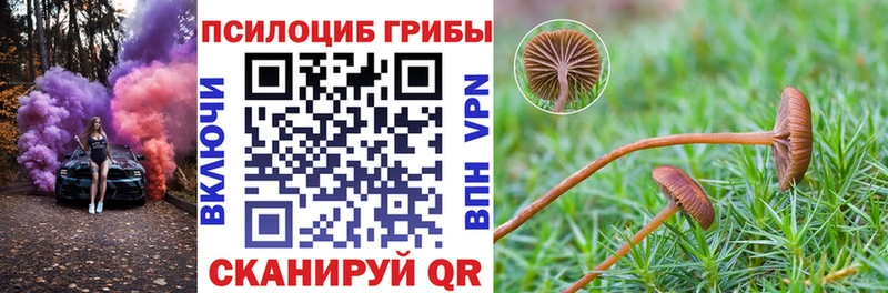 Галлюциногенные грибы MAGIC MUSHROOMS Болхов